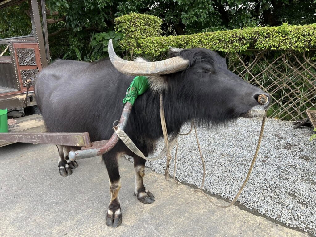 ビオスの丘の所要時間や滞在時間まとめ