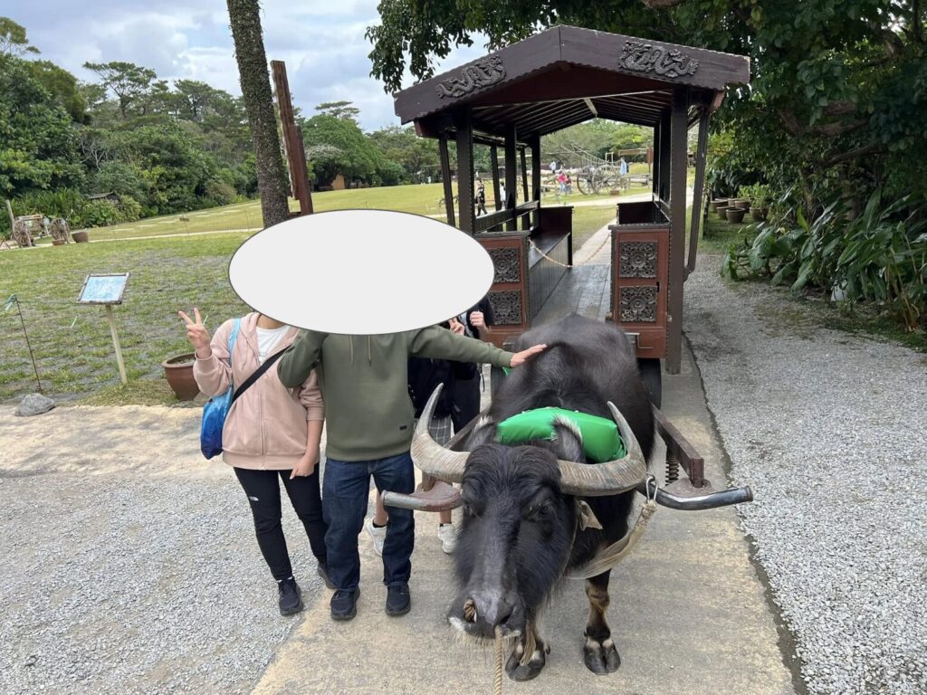 水牛車体験！所要時間は約25分