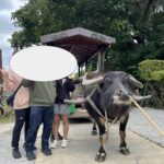 ビオスの丘の所要時間